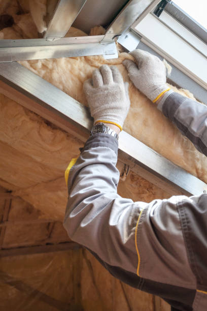 Best Insulation Maintenance and Repair in Florence, AL